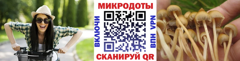 Купить  Кириллов  Псилоцибиновые грибы мицелий 